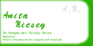 anita micsey business card